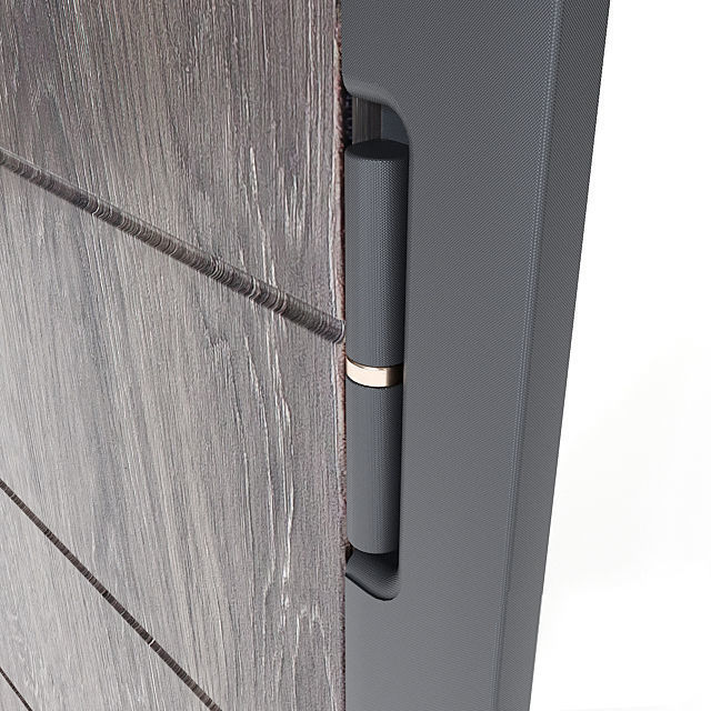 Modern front door 2 3D model_4