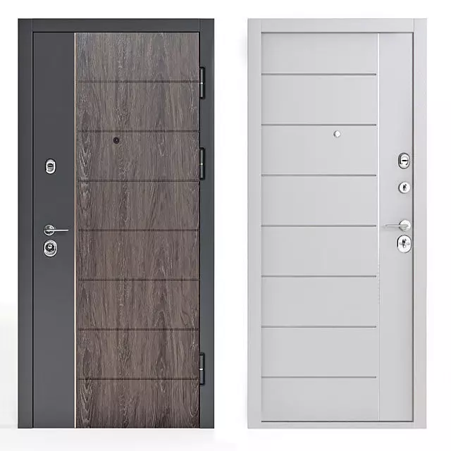 Modern front door 2 3D model_0