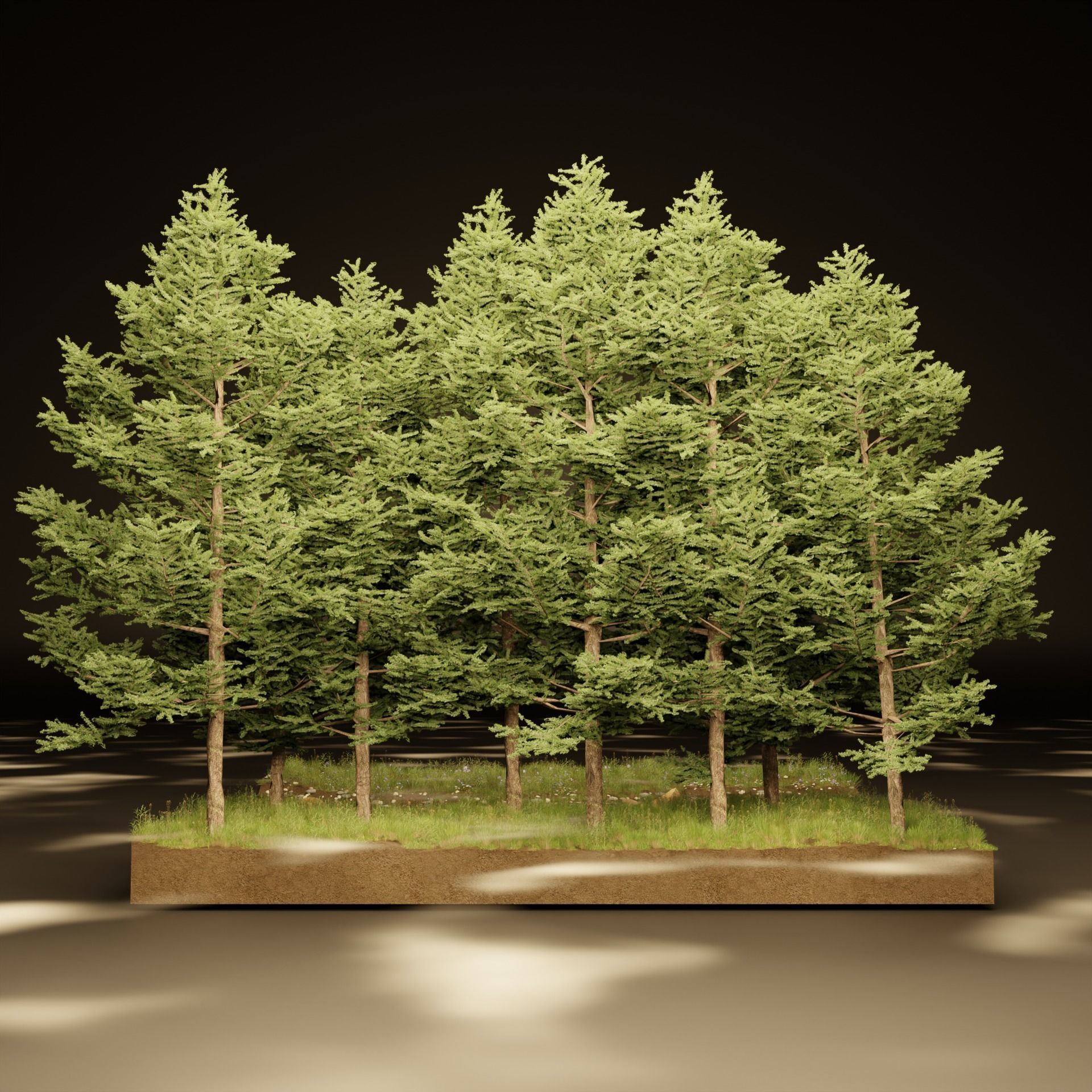 Foggy Forest Scene 3D model_4