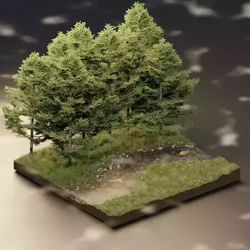 Foggy Forest Scene 3D model