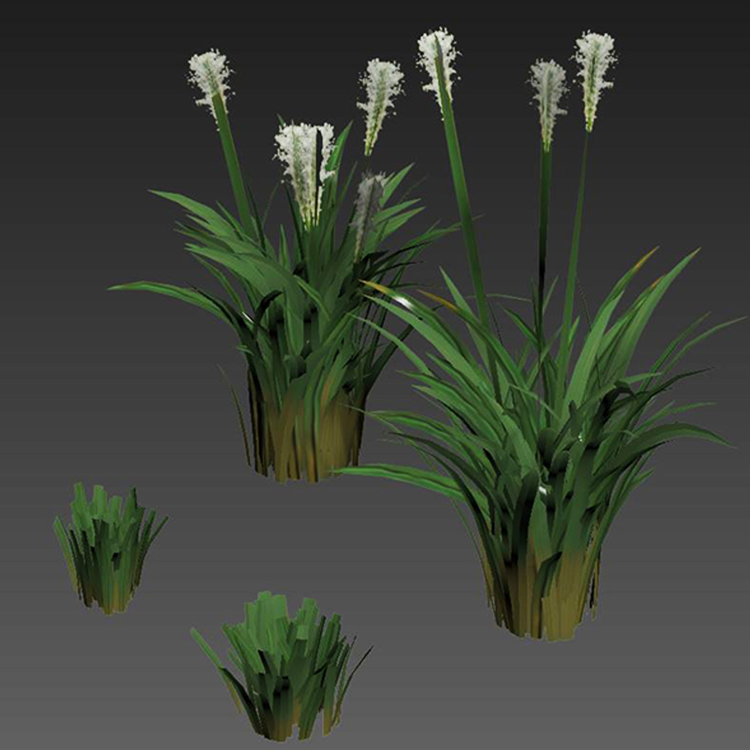 Field Grass 05 3D model_5