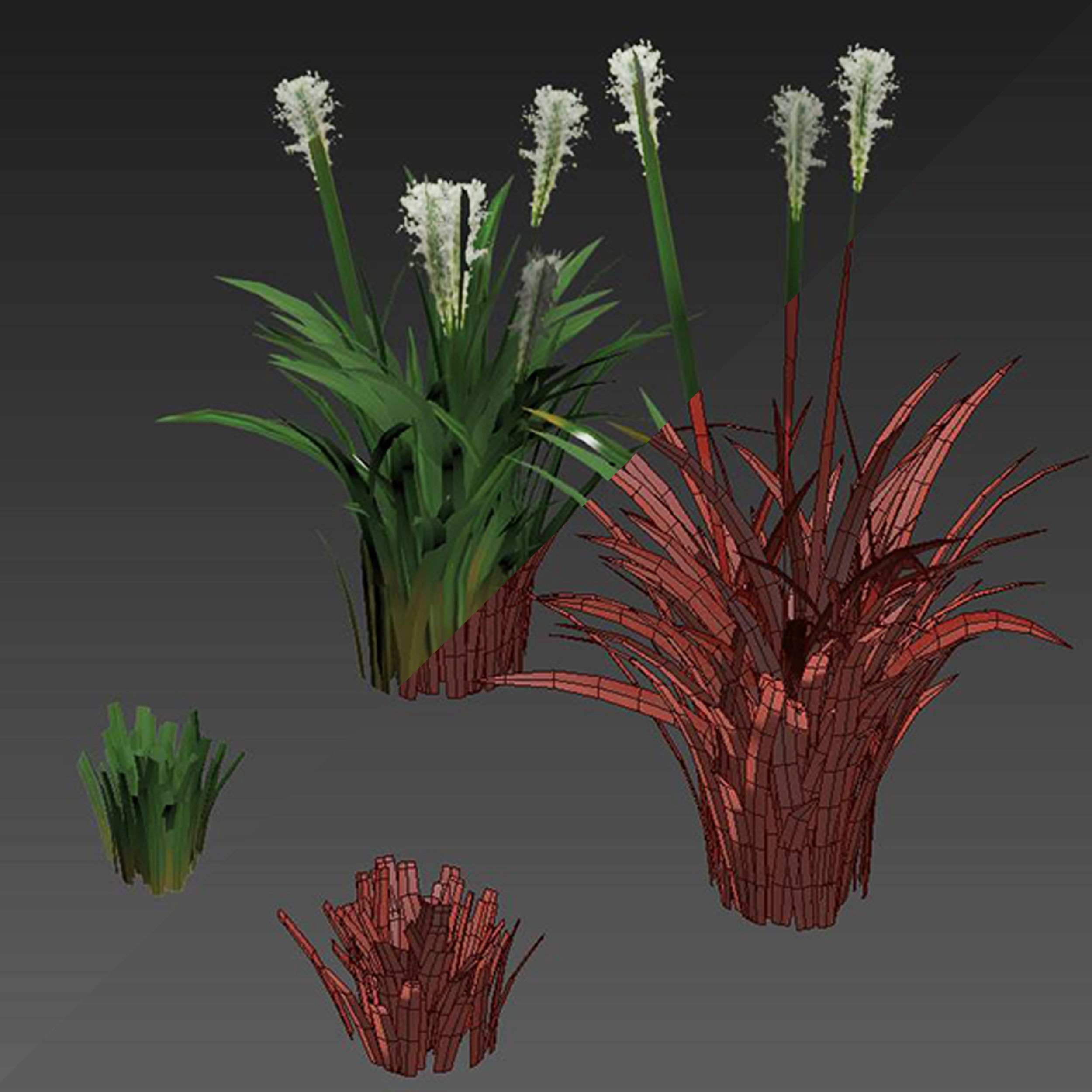 Field Grass 05 3D model_4
