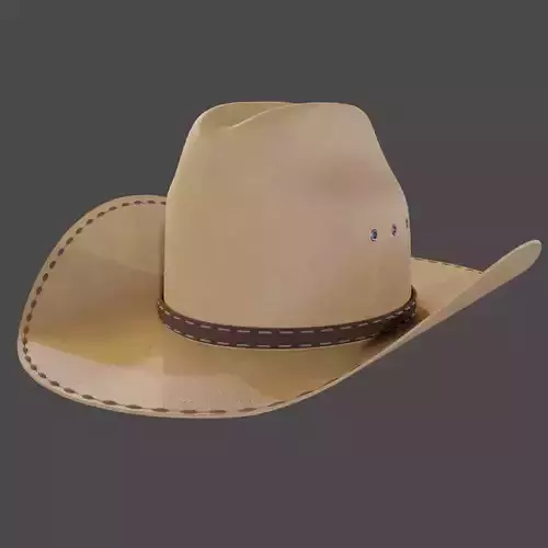 Stetson Western Hat