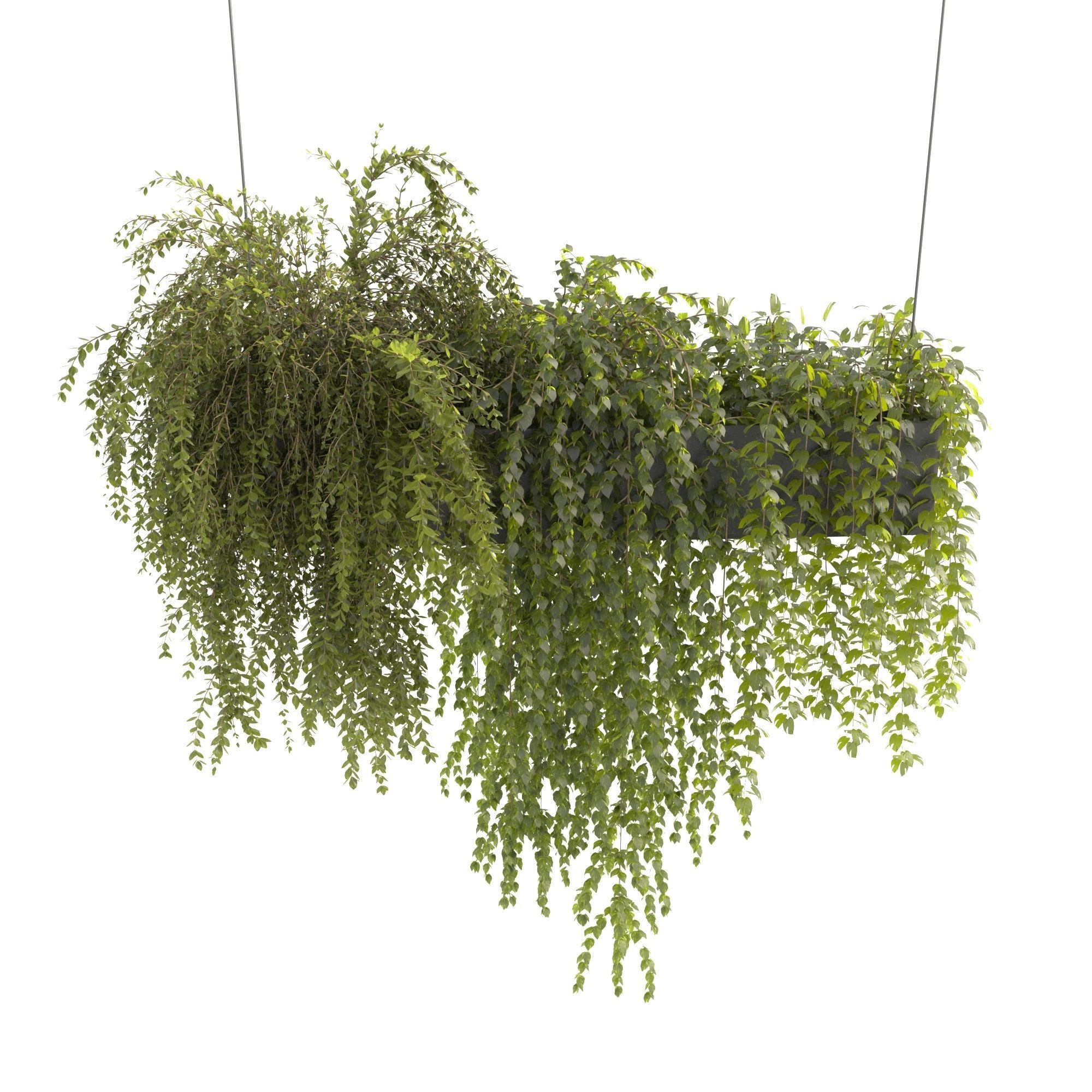 Plants Collection 22 3D model_1
