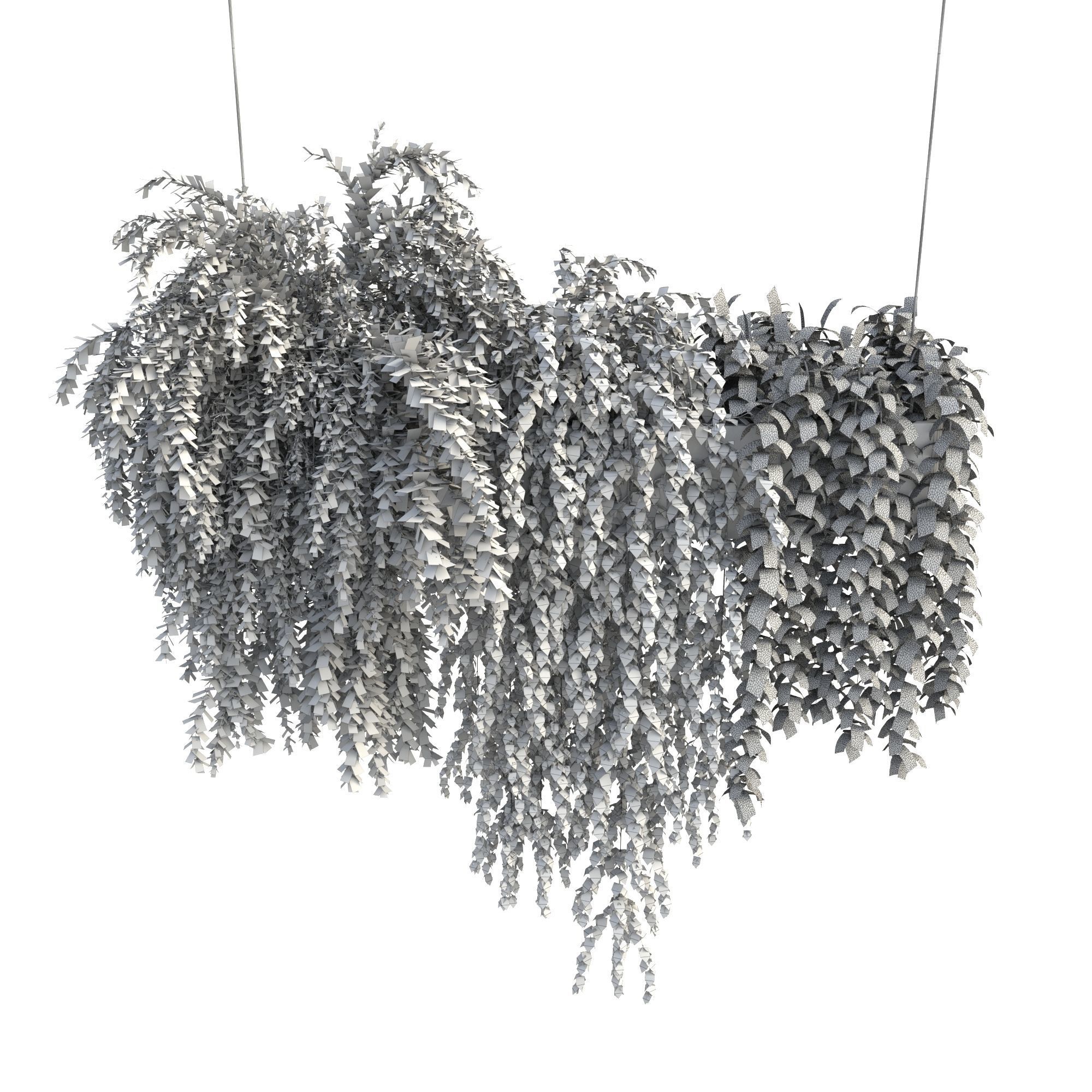 Plants Collection 22 3D model_4