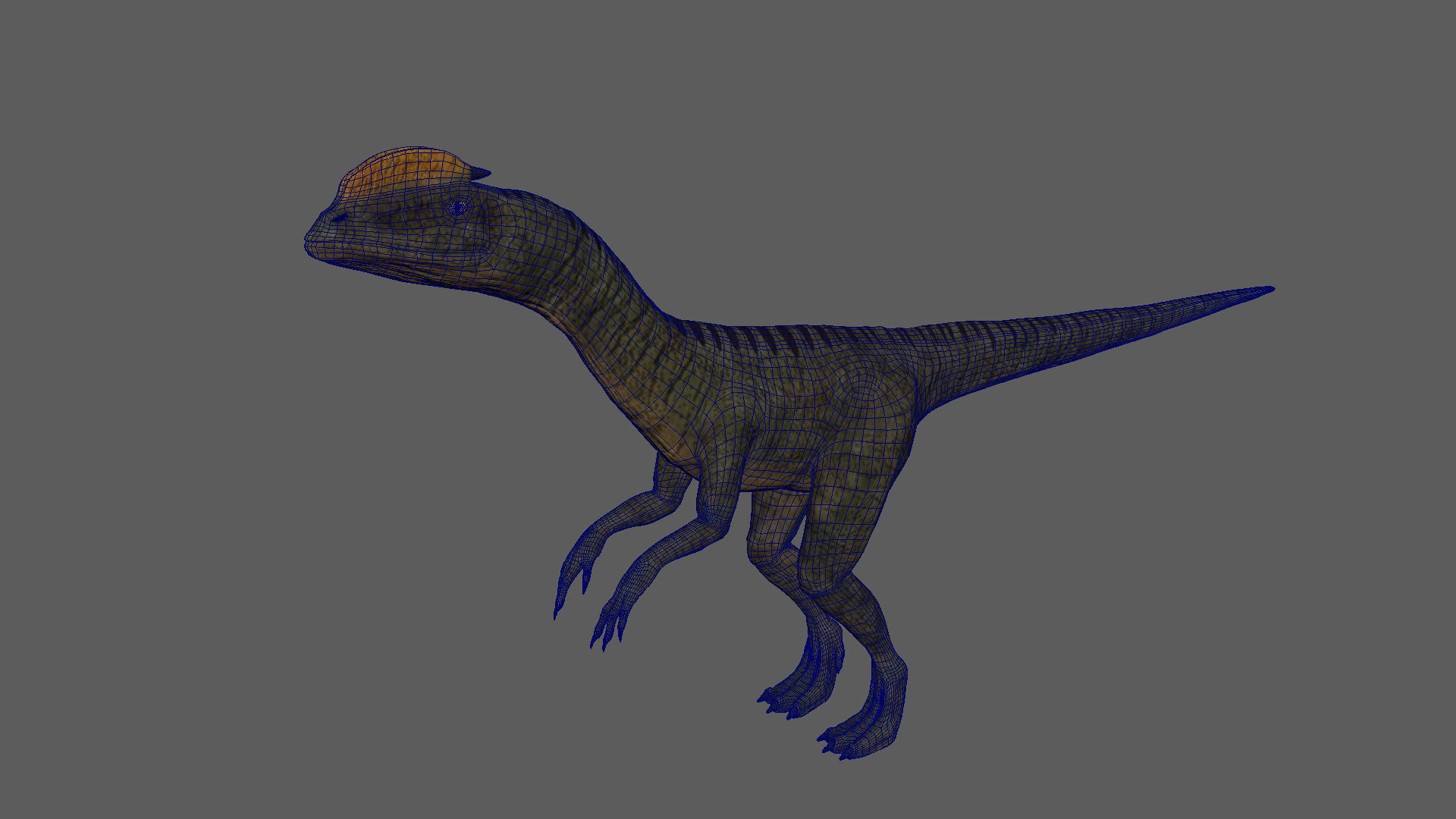 Velociraptor Low-poly 3D model dinosaur Low-poly 3D model_1