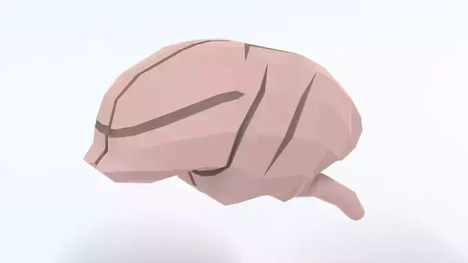 Low Poly Cartoon Monkey Brain