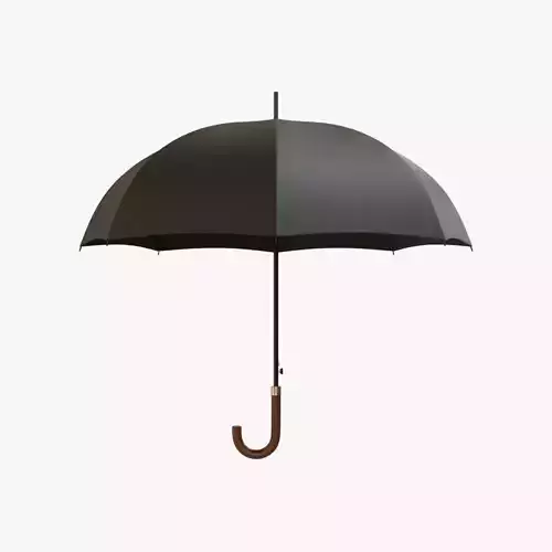 Umbrella