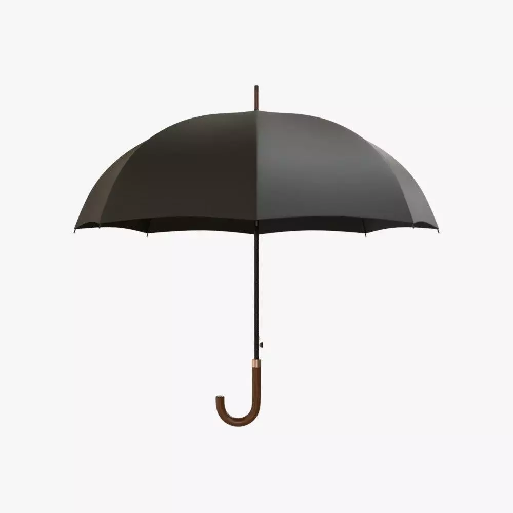 Umbrella 3D model