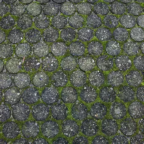 Grass texture  Pavement texture