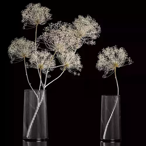 Bouquets Of Dried Heracleum Flowers And Decor