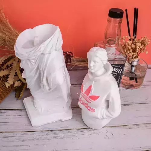 Big Adidas venus  - for small printer