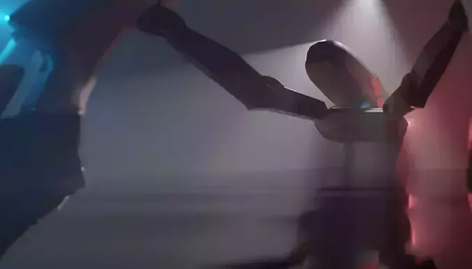 project spider robot