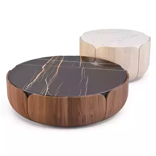 Milla and Milli Bloom - Coffee and Side Table 3D model