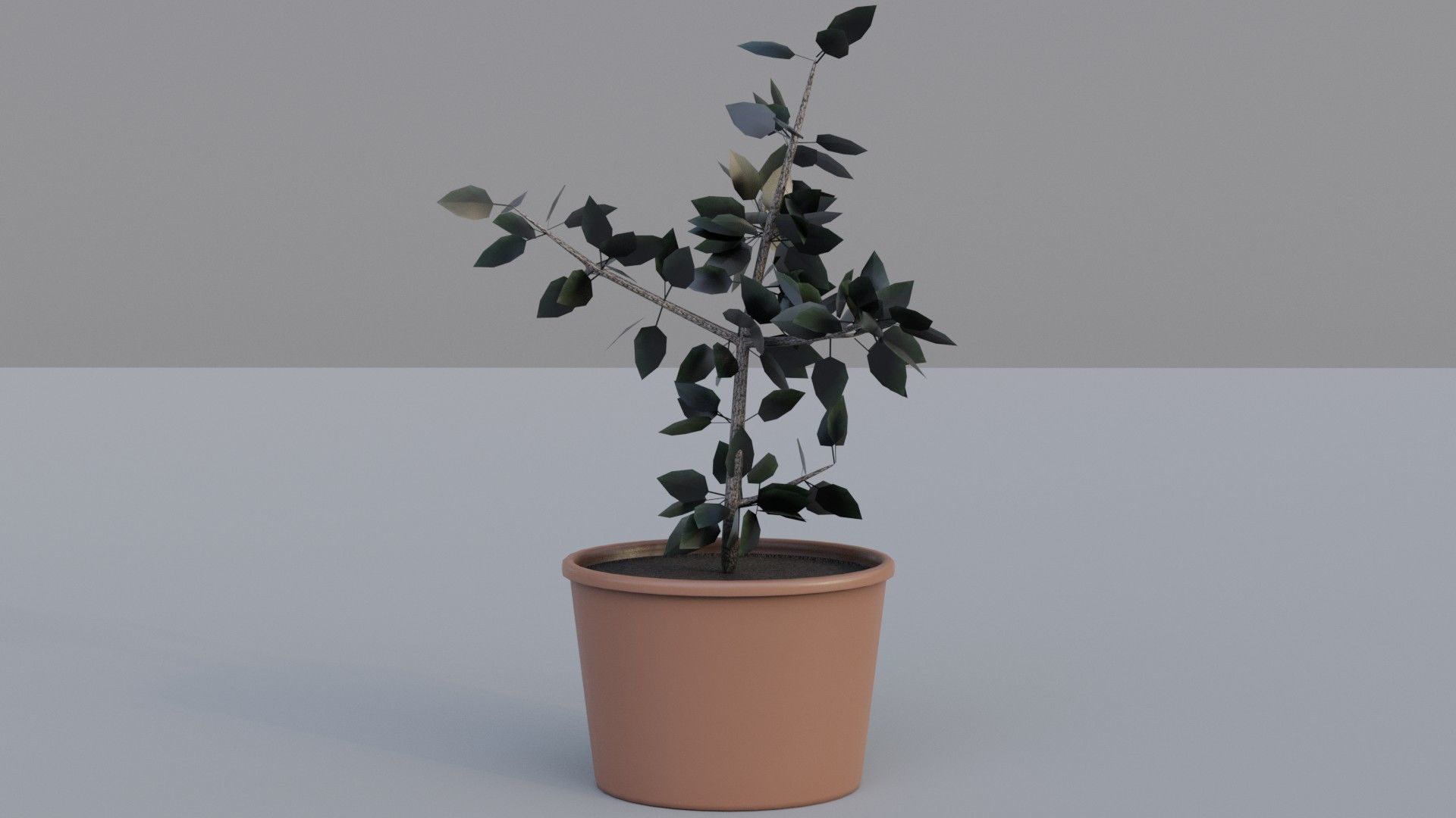 Flower Pot A1 3D model_3