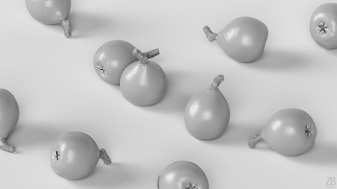 Loquat 3D model 4