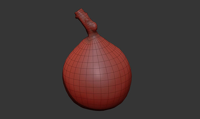 Loquat 3D model 7