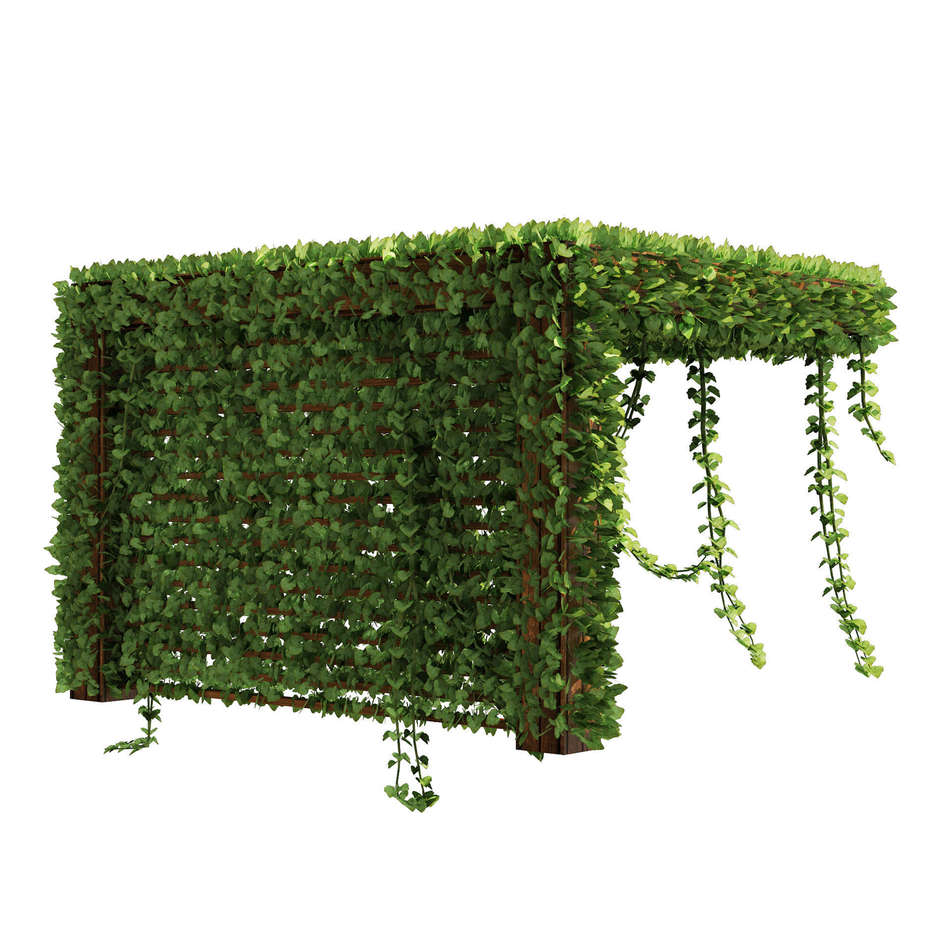 Pergola Vine Bower Climbing plant Low-poly 3D model_3