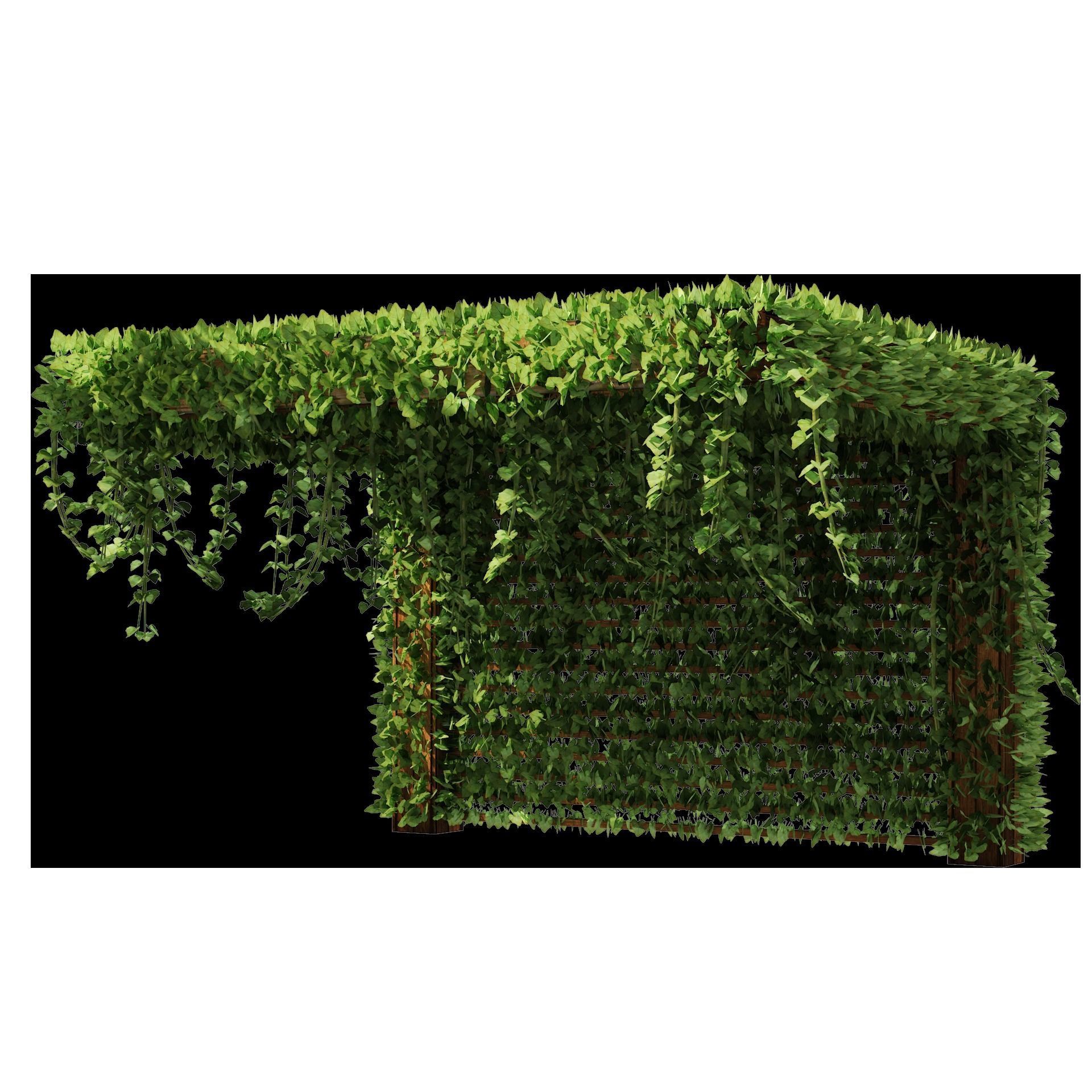 Pergola Vine Bower Climbing plant Low-poly 3D model_1