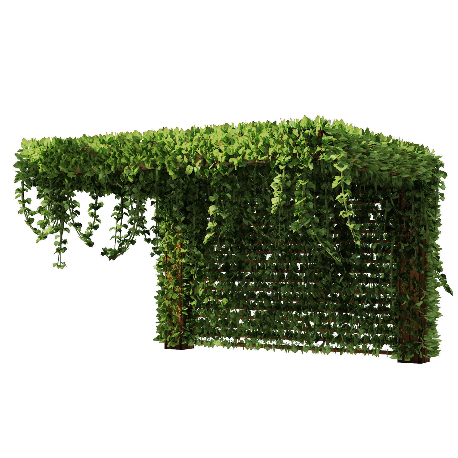 Pergola Vine Bower Climbing plant Low-poly 3D model_8