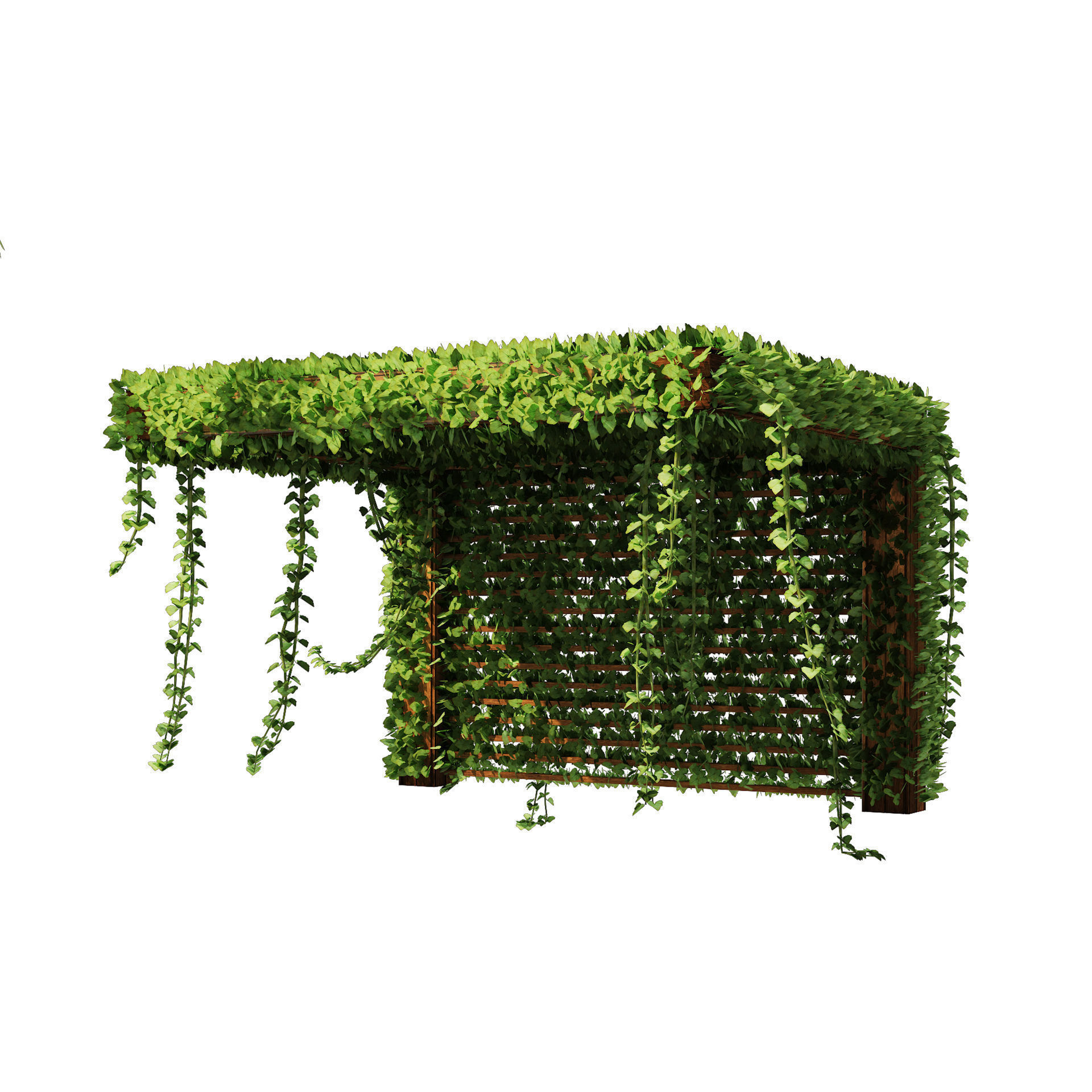 Pergola Vine Bower Climbing plant Low-poly 3D model_2
