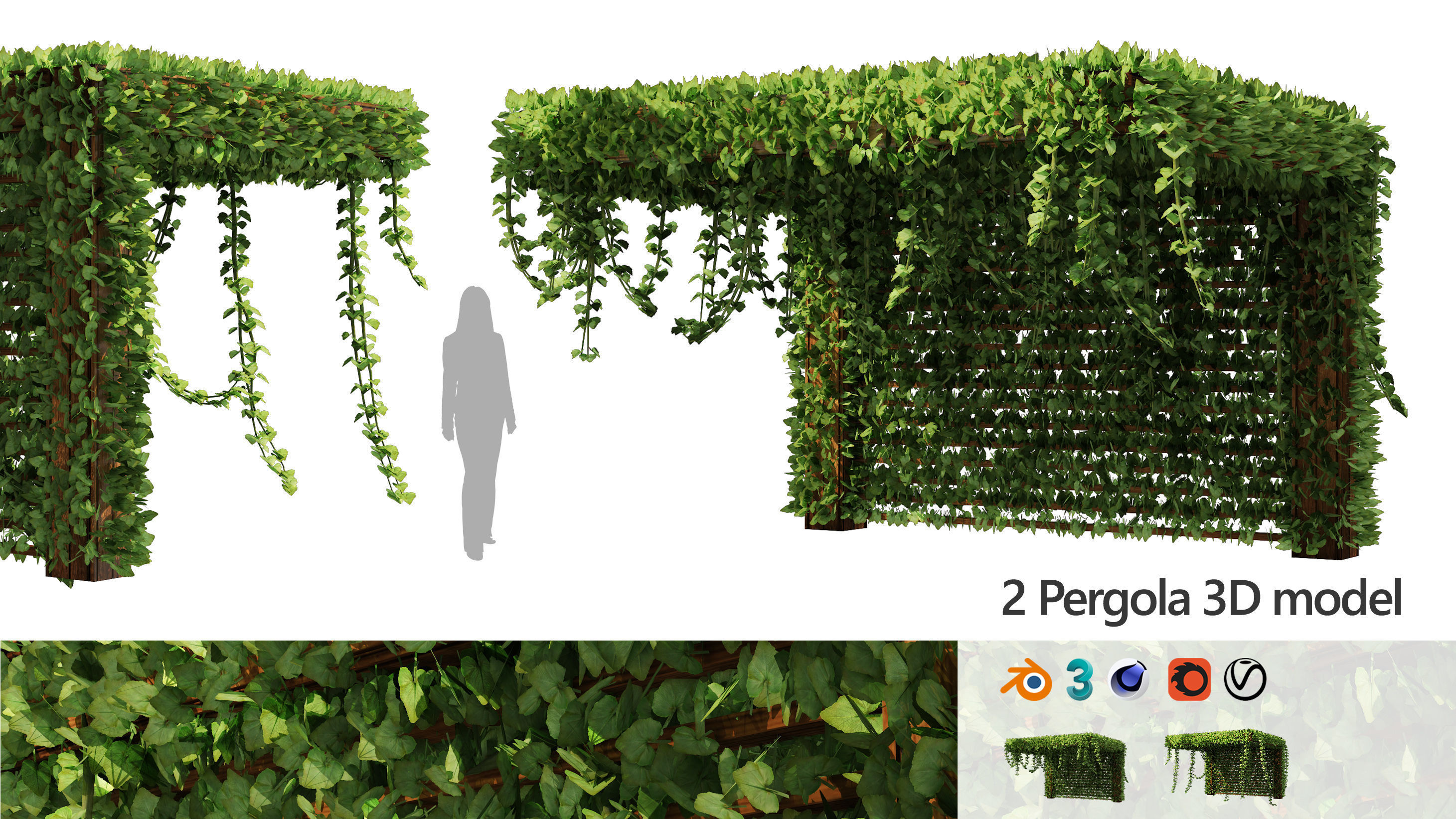 Pergola Vine Bower Climbing plant Low-poly 3D model_9