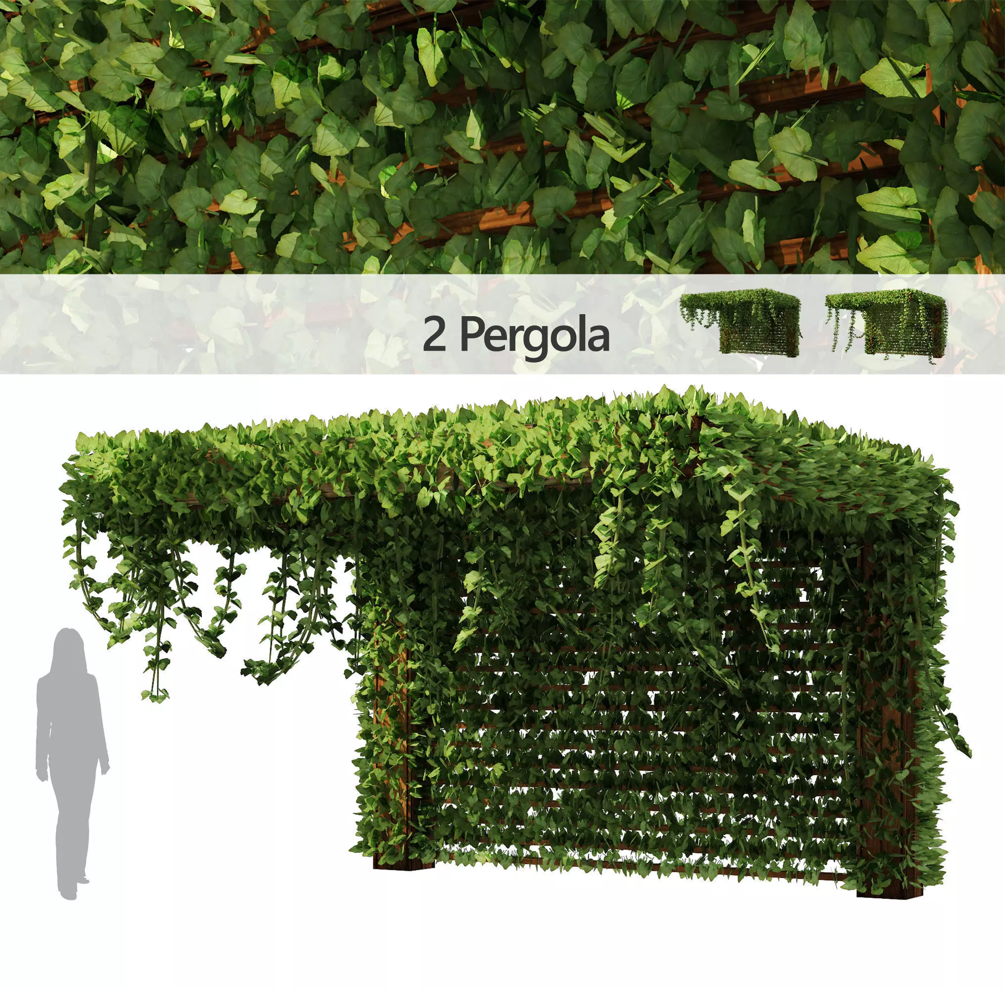 Pergola Vine Bower Climbing plant Low-poly 3D model_0