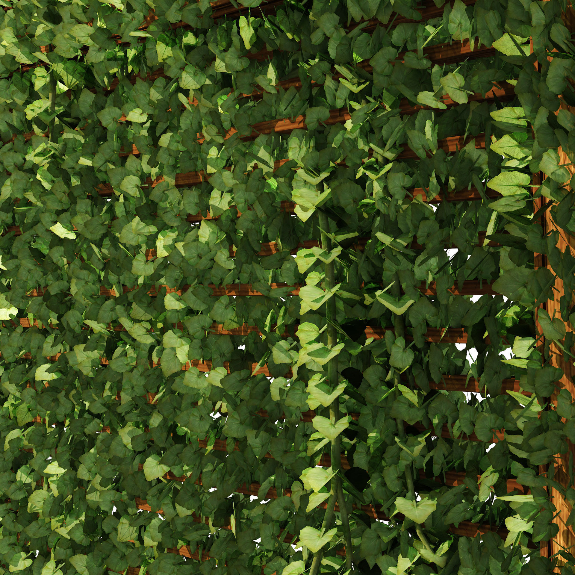 Pergola Vine Bower Climbing plant Low-poly 3D model_4
