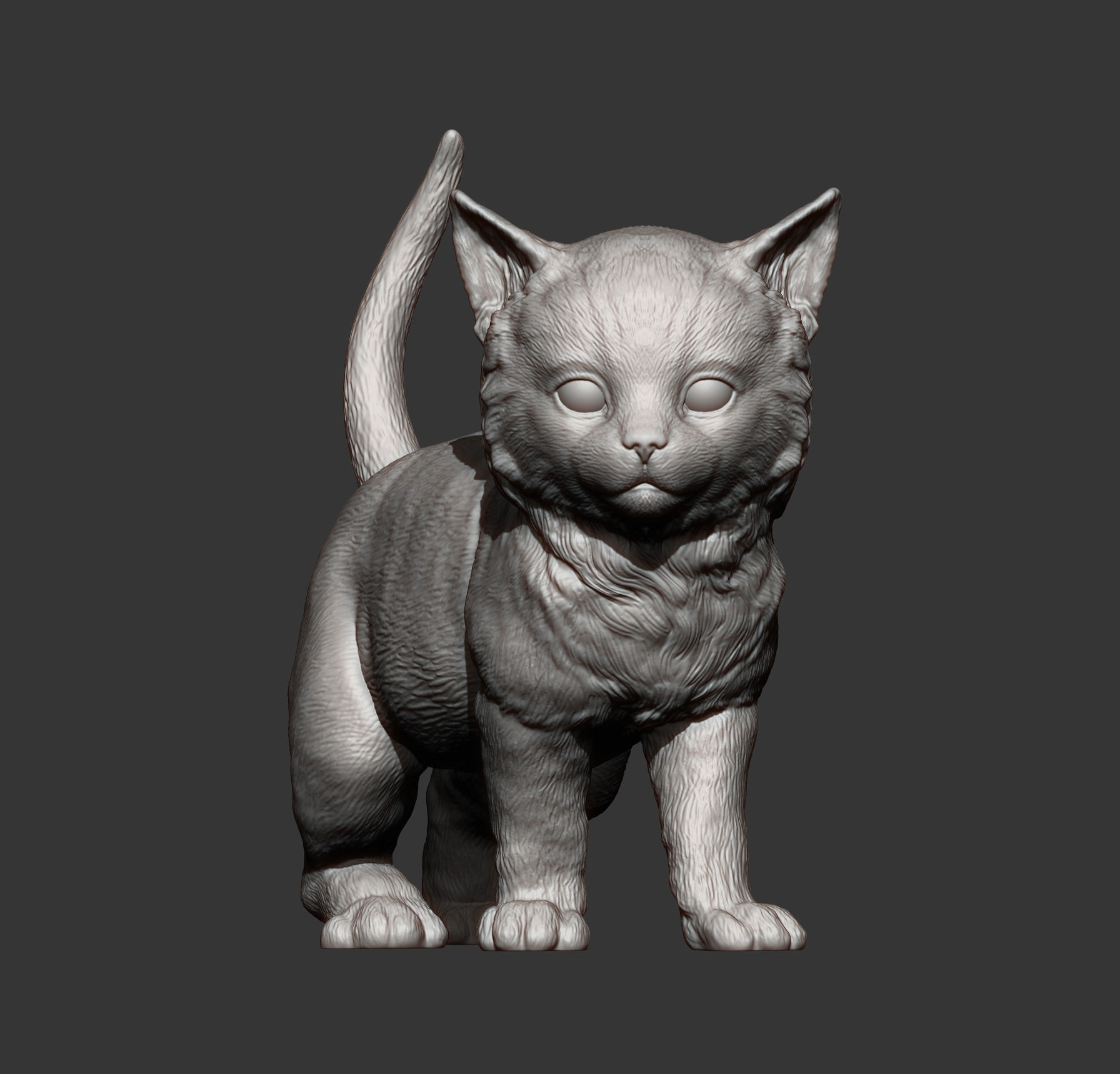 kitty  3D print model_10