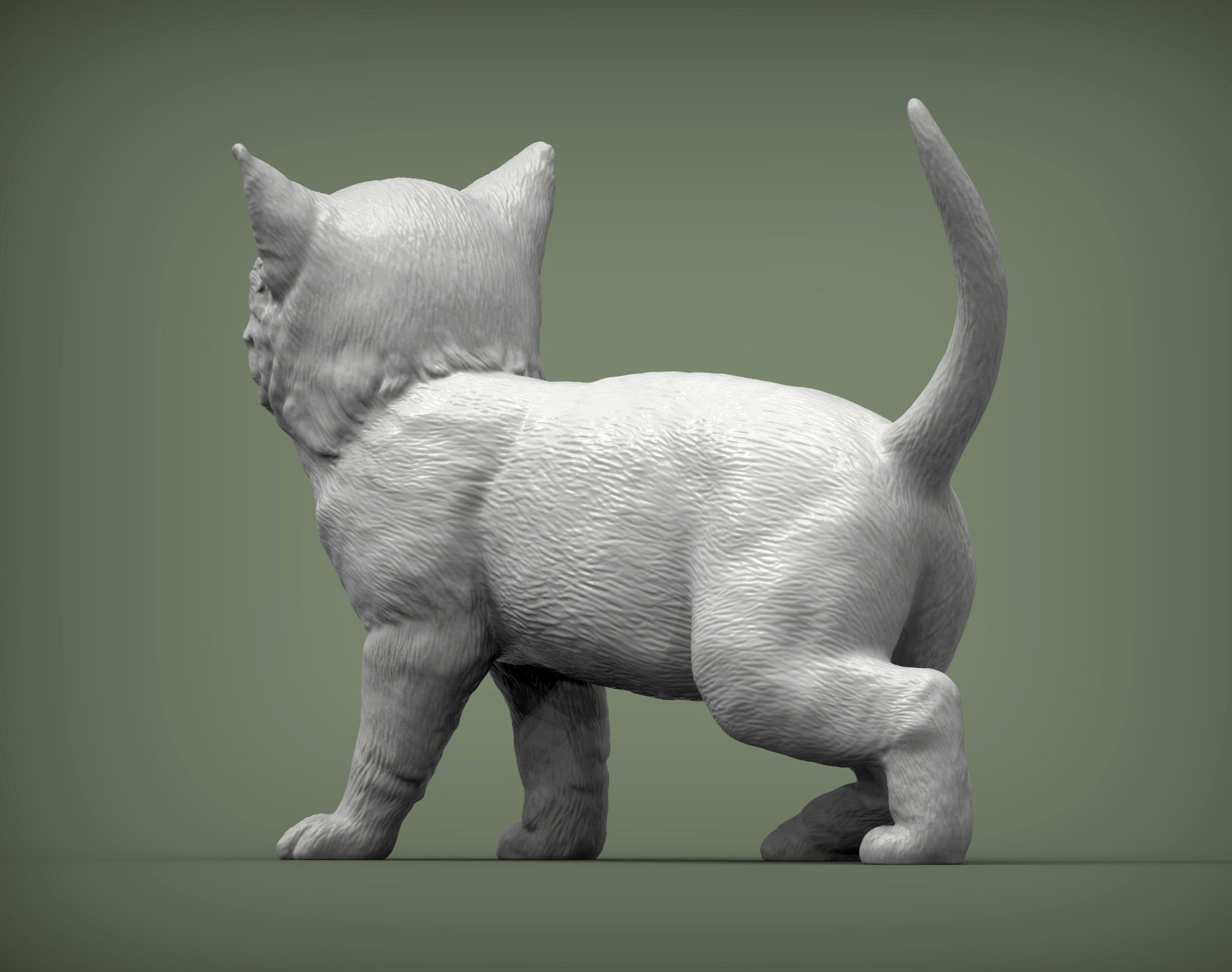 kitty  3D print model_1