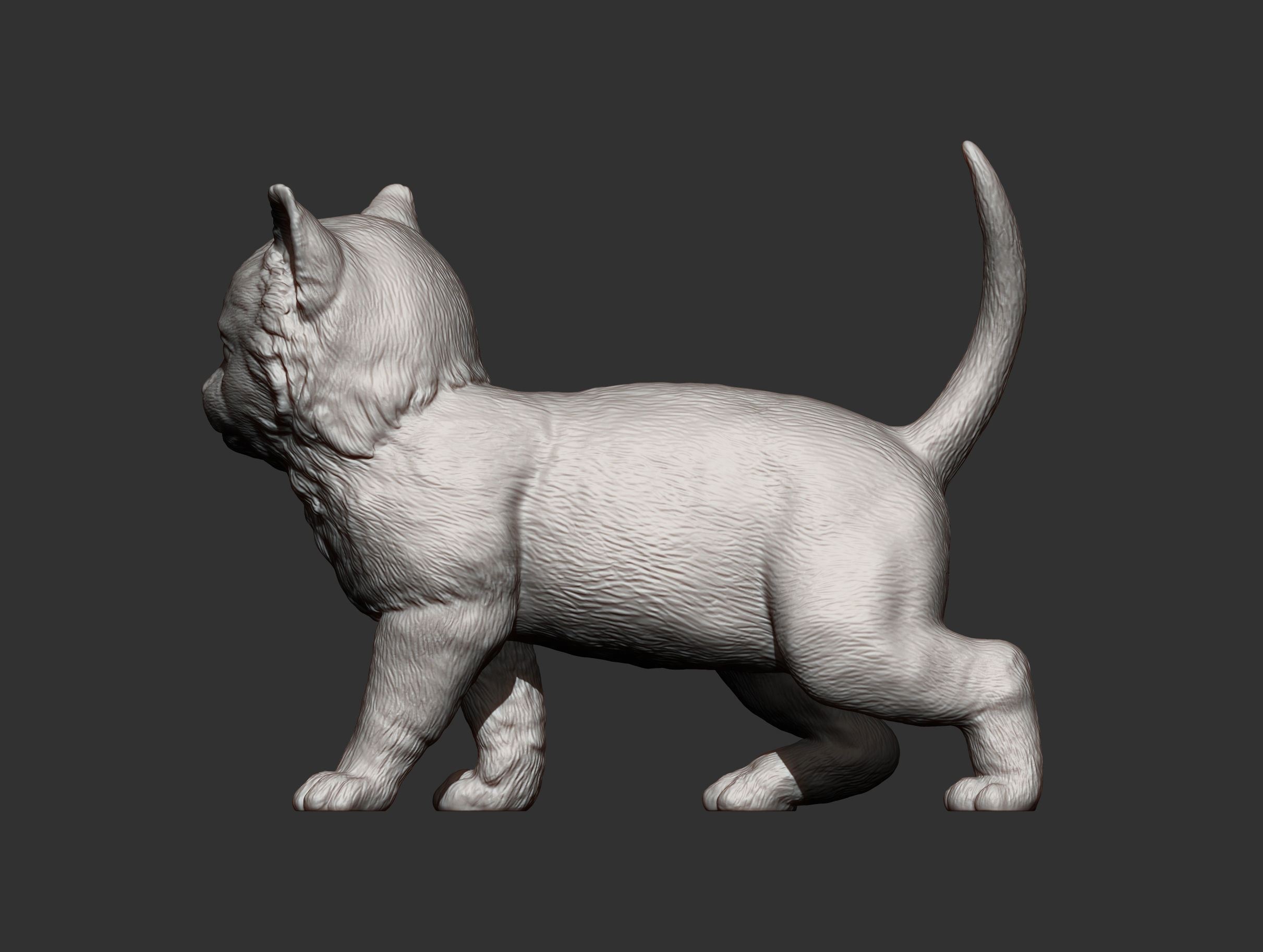 kitty  3D print model_12