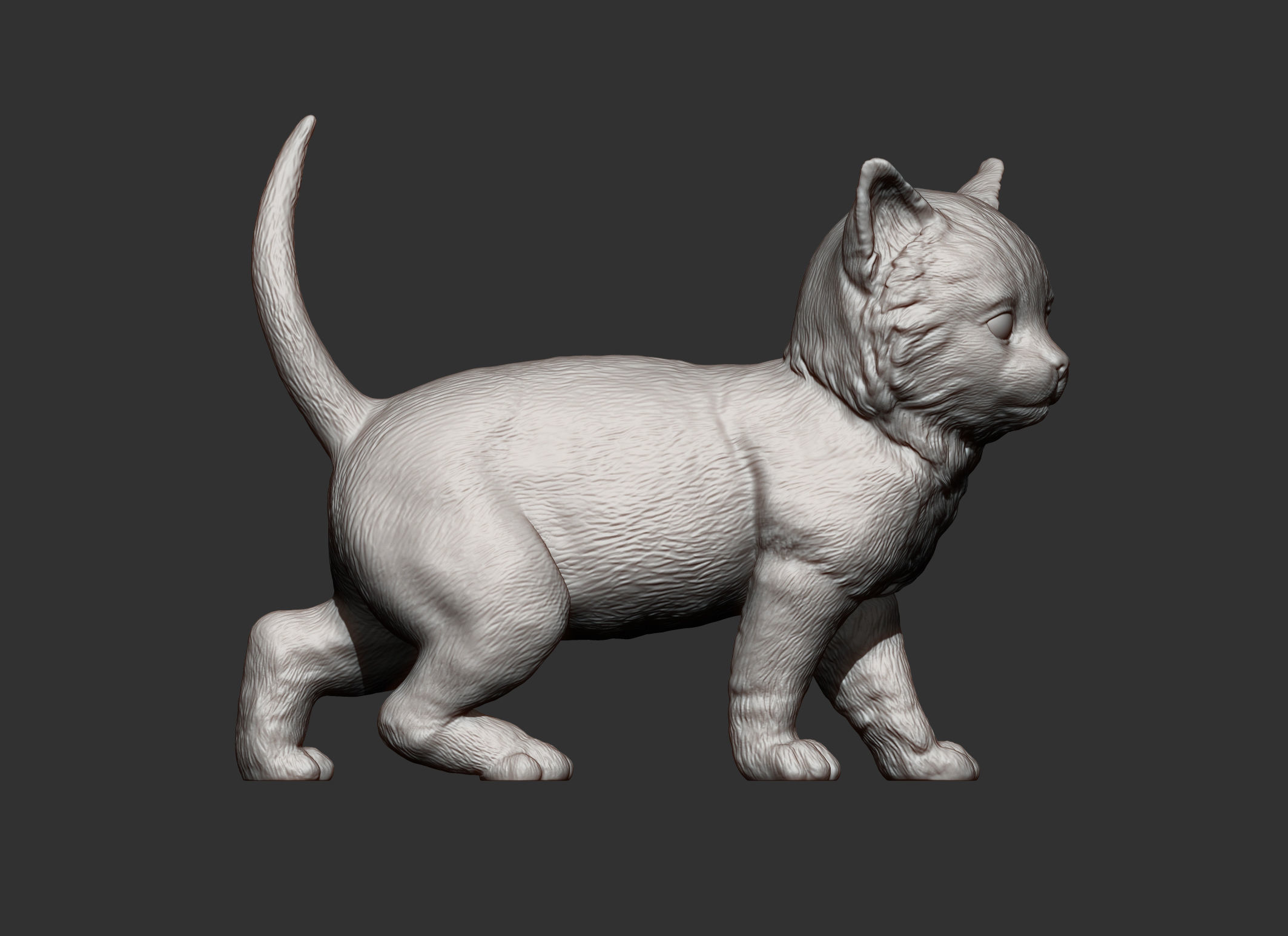 kitty  3D print model_7