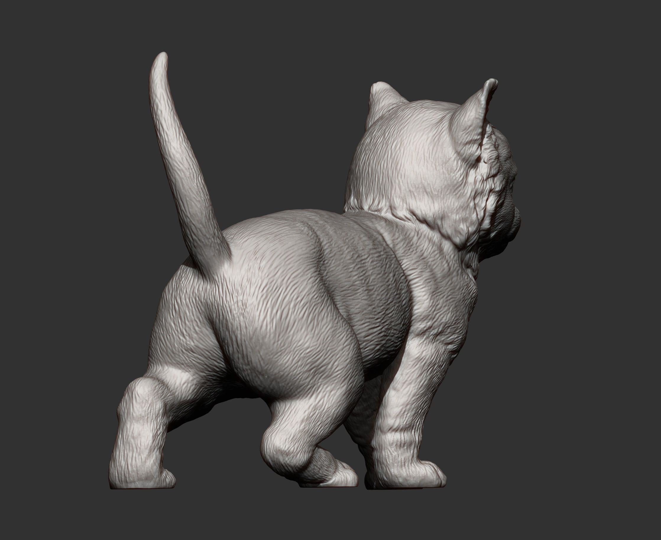 kitty  3D print model_8