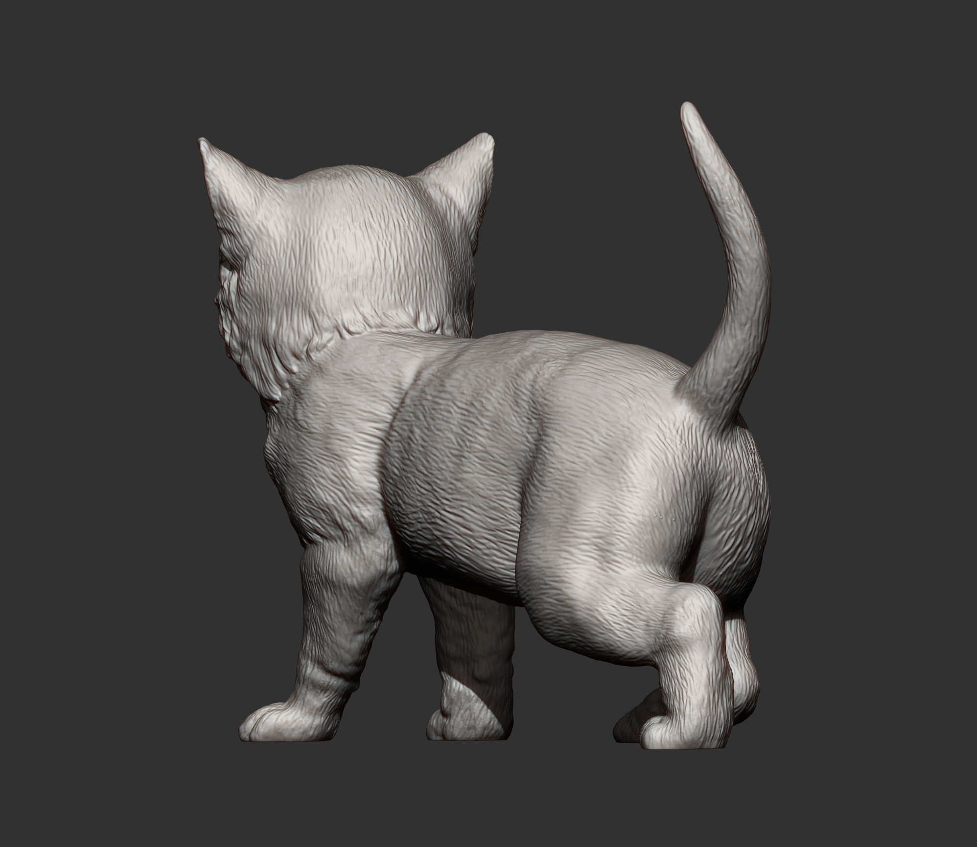 kitty  3D print model_9