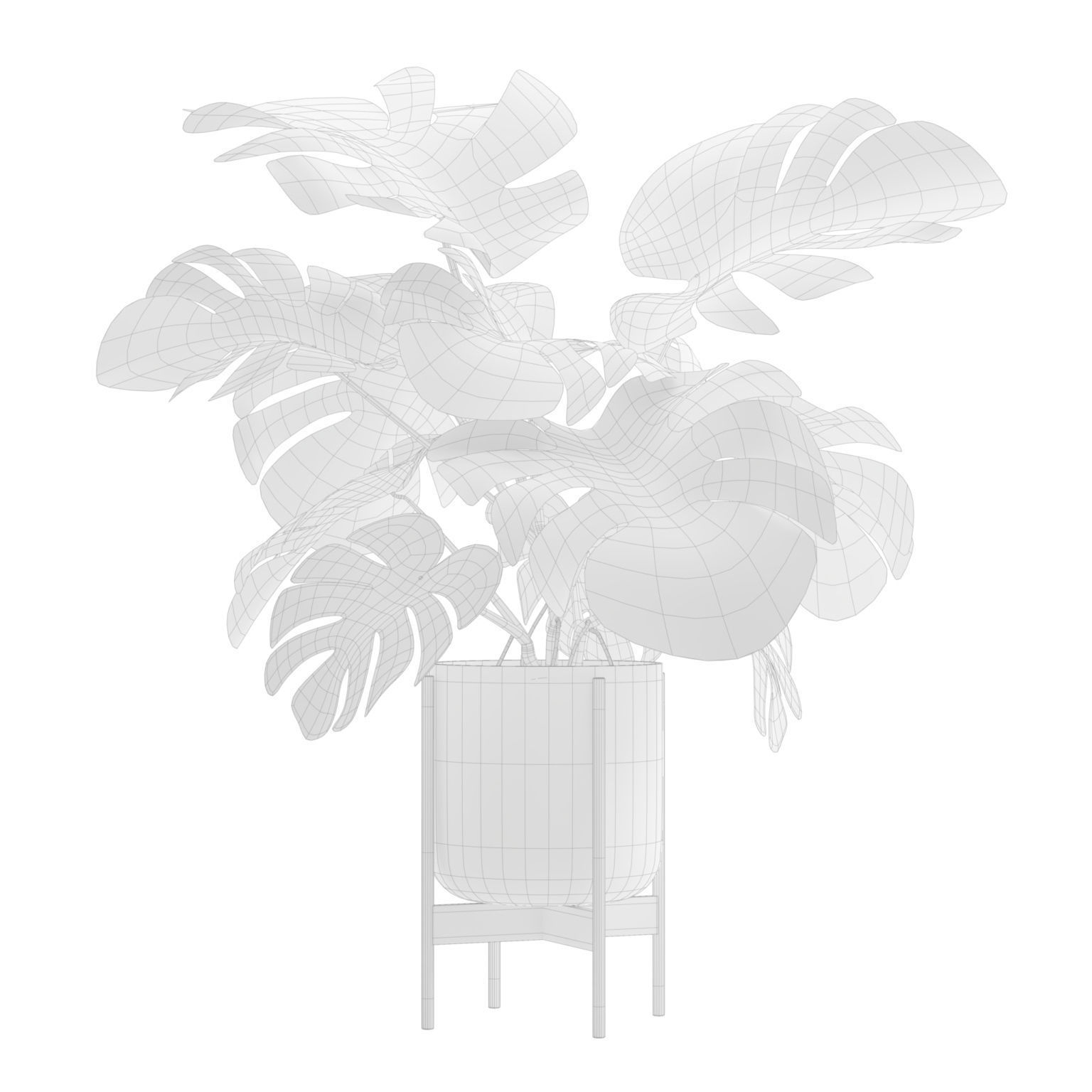 Potted Monstera Deliciosa 3D model_2