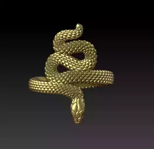 Snake Ring New
