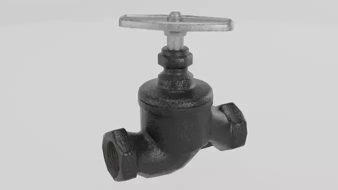 Cast iron valve