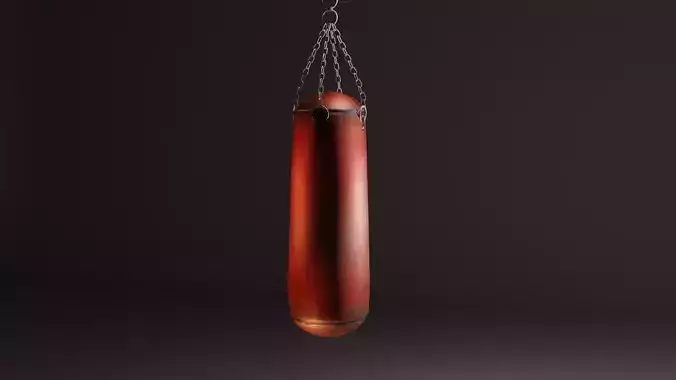 Boxing Bag
