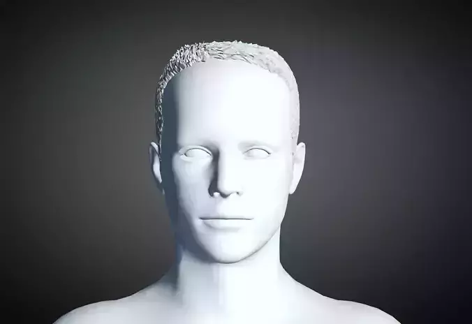 3D Hair style for Man 41 3D model 3D model