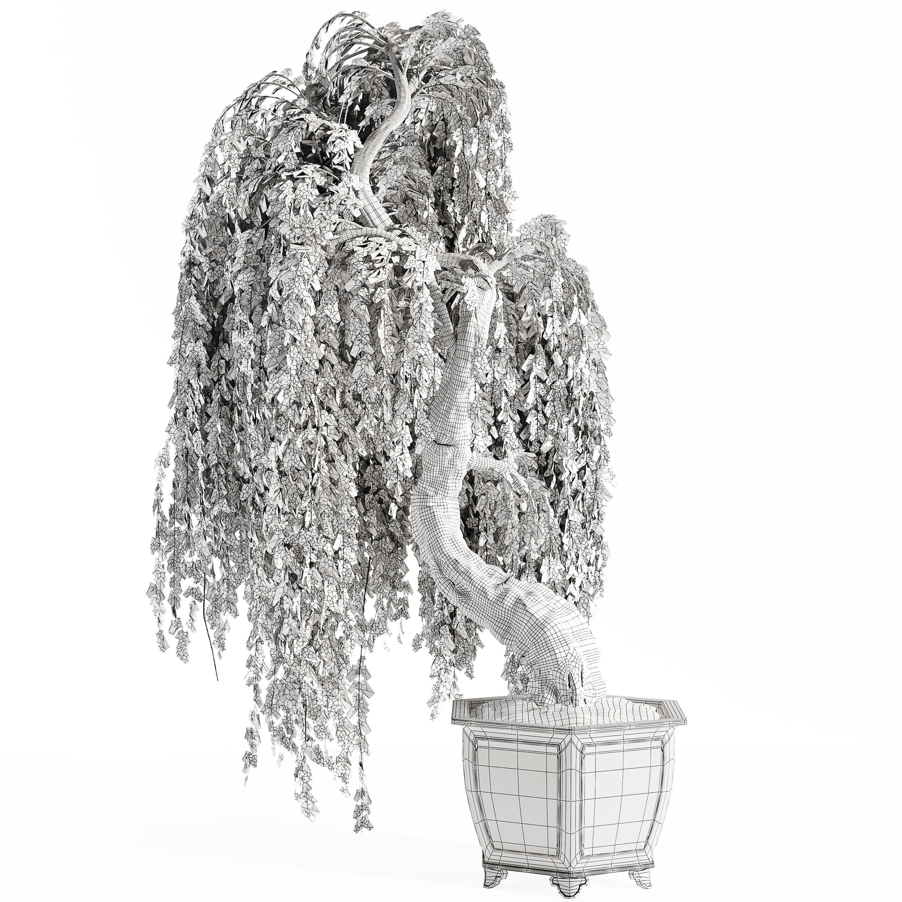 Bonsai plant 02 3D model_3