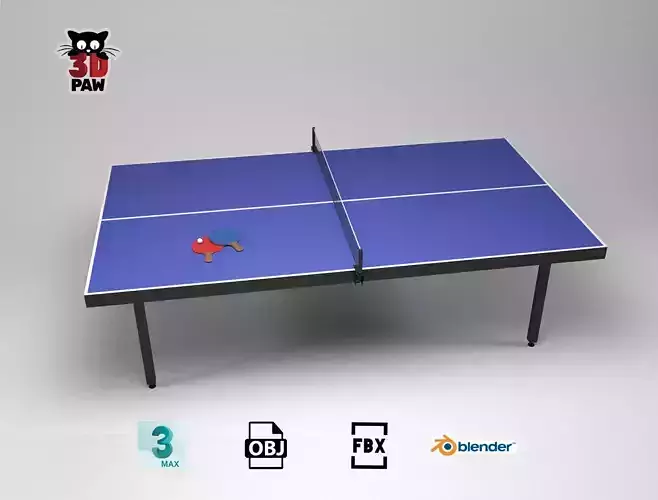 Table tennis set