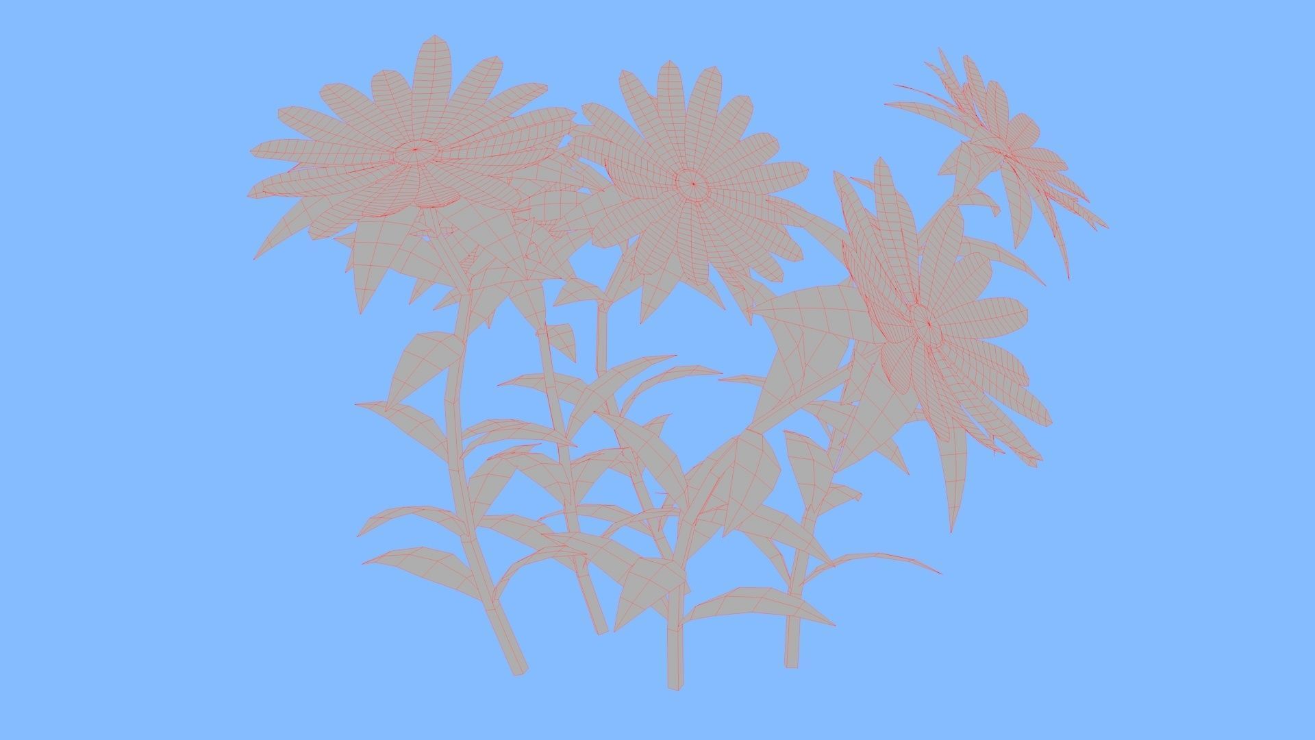 White Chamomiles Flowers  Low poly  Game ready Low-poly 3D model_10