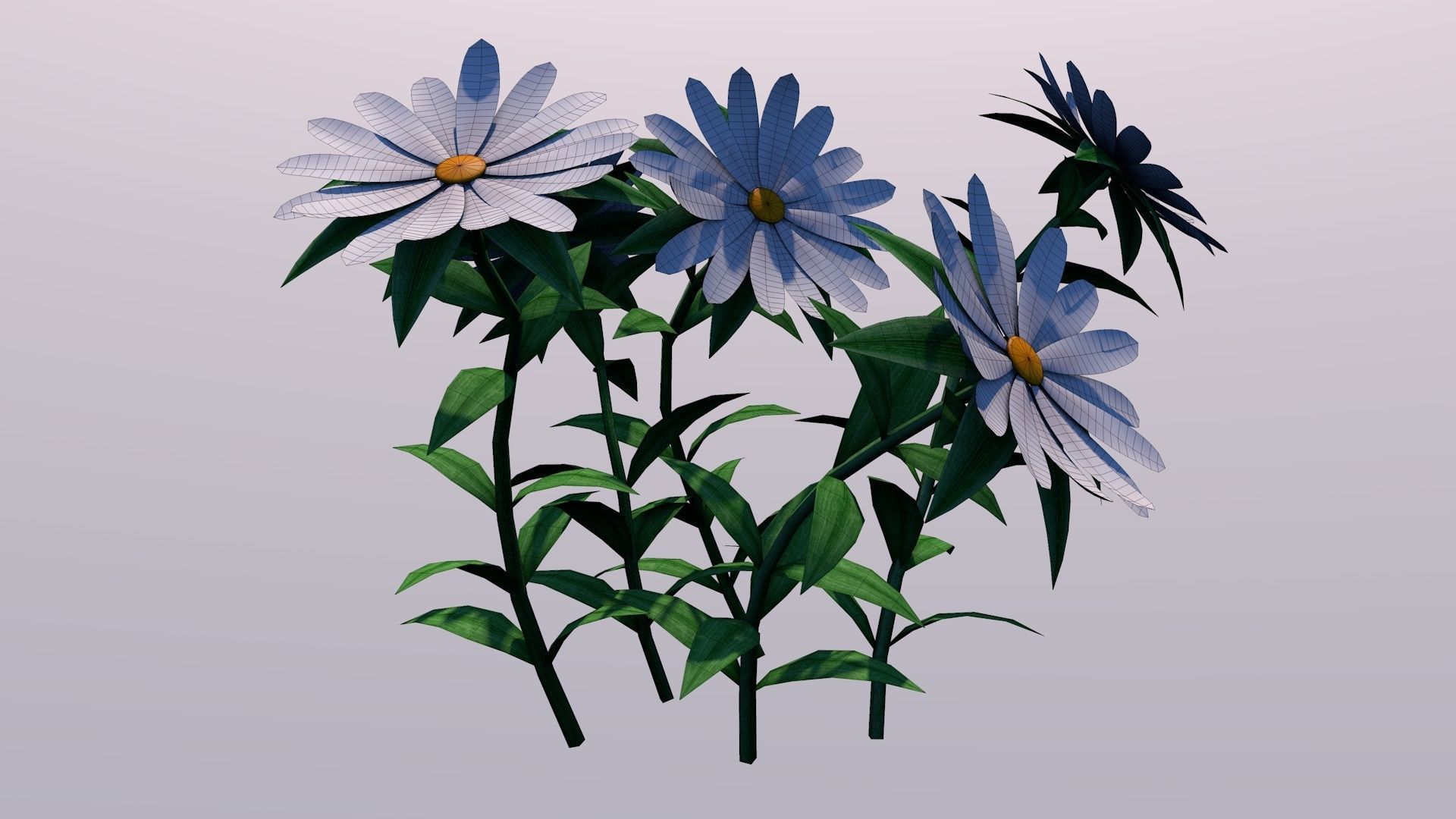 White Chamomiles Flowers  Low poly  Game ready Low-poly 3D model_7