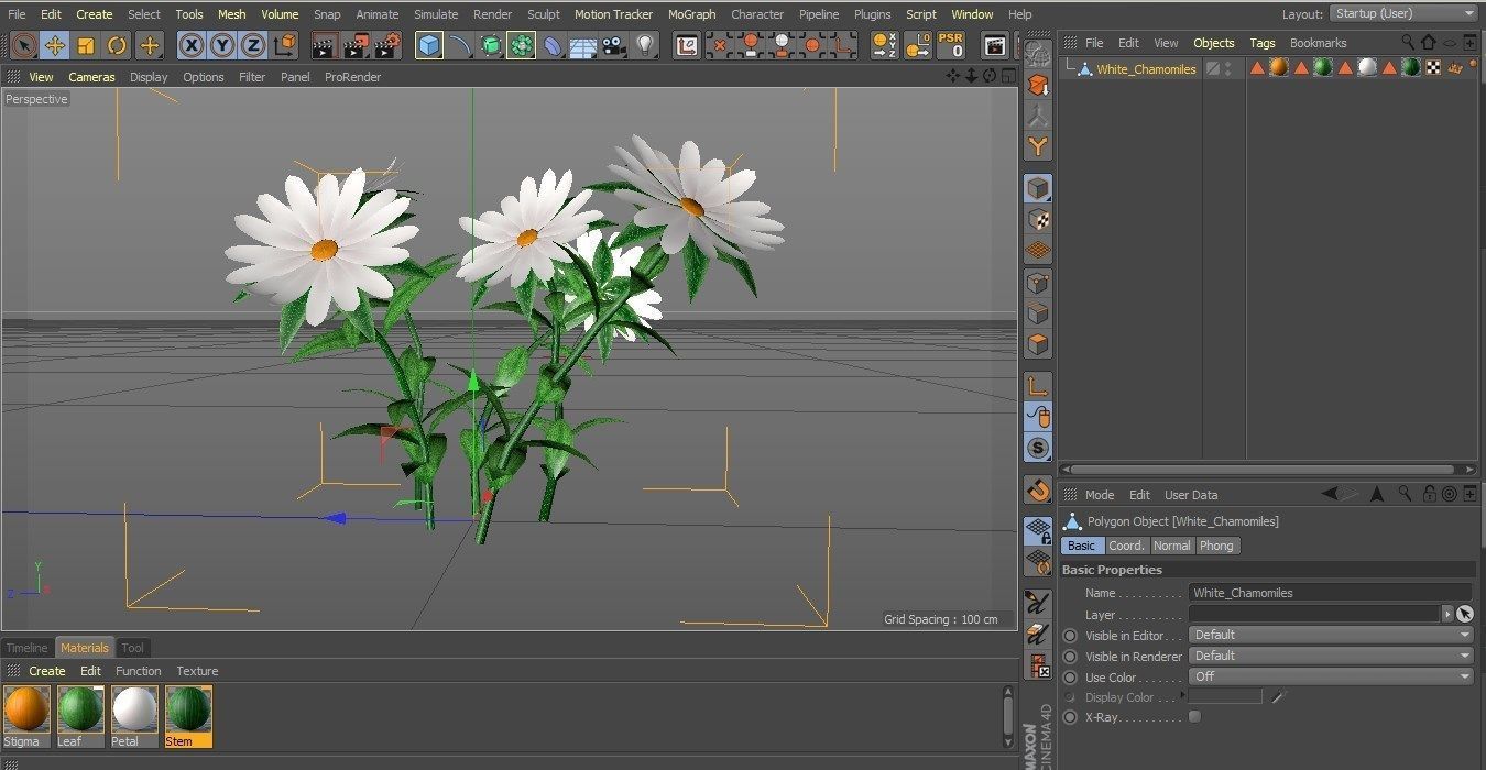 White Chamomiles Flowers  Low poly  Game ready Low-poly 3D model_11