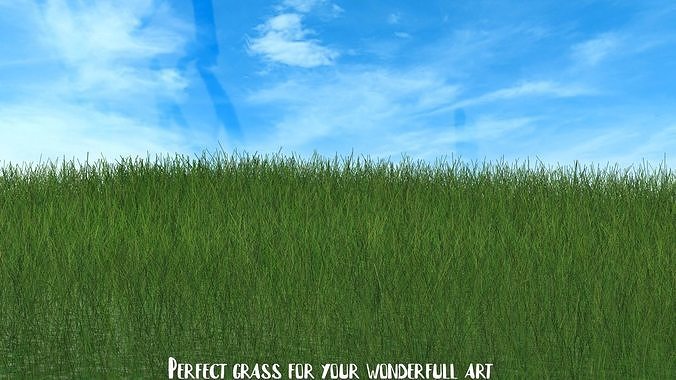 3dD Grass  Free 3D model