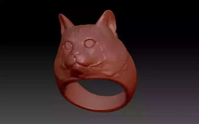 Ring cat head
