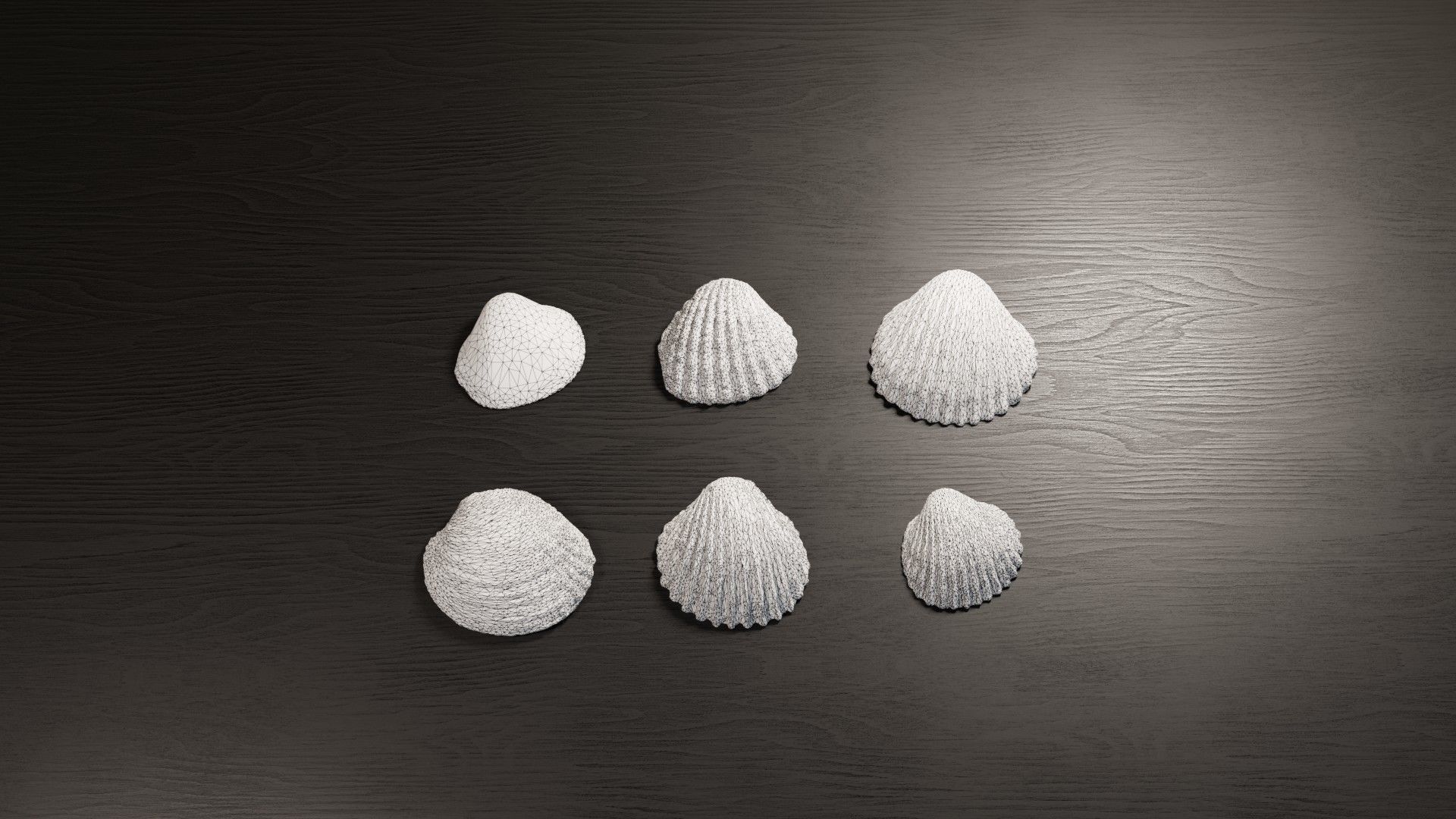 Sea shells collection Vol 2 Low-poly 3D model_1