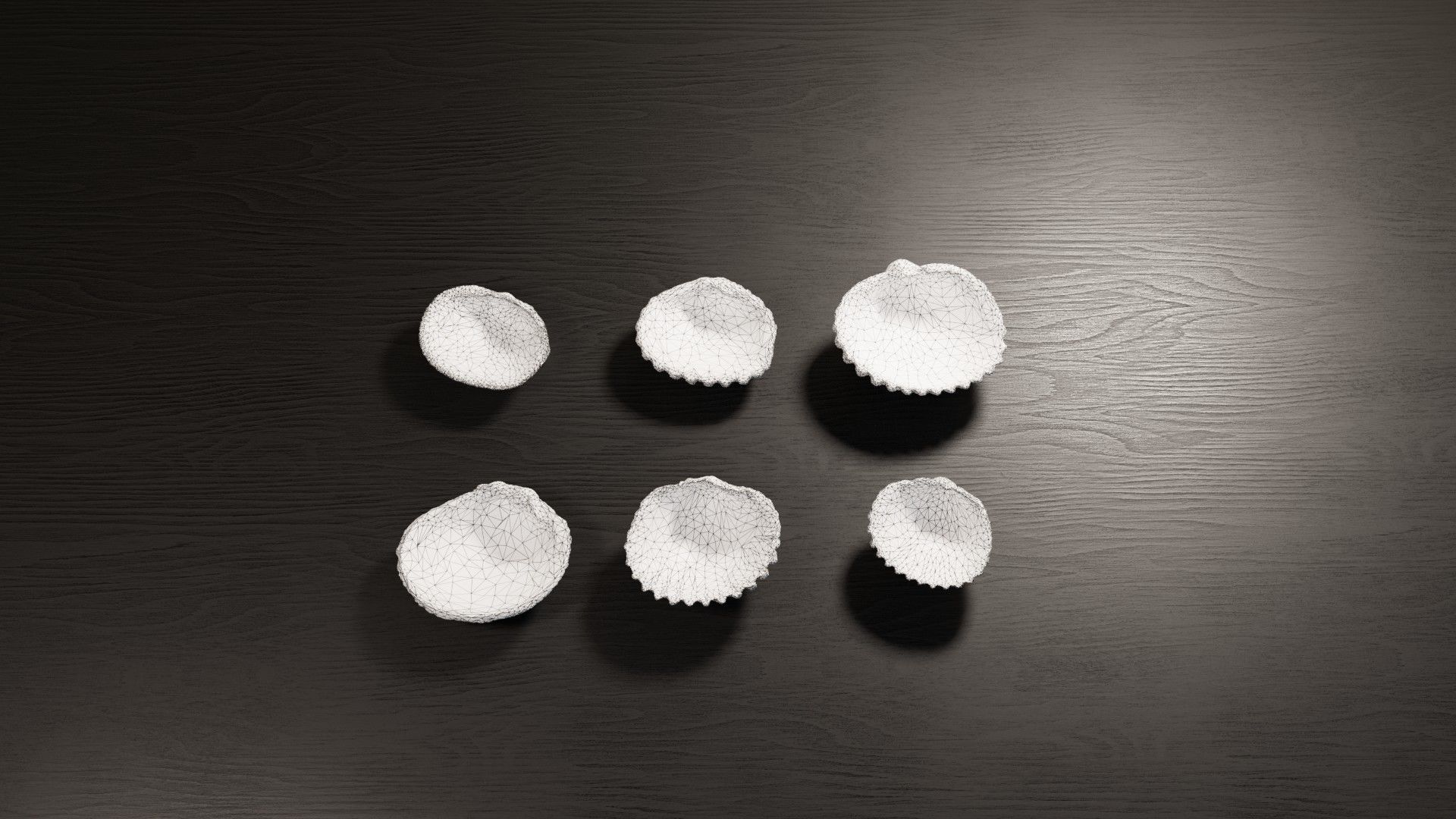 Sea shells collection Vol 2 Low-poly 3D model_5