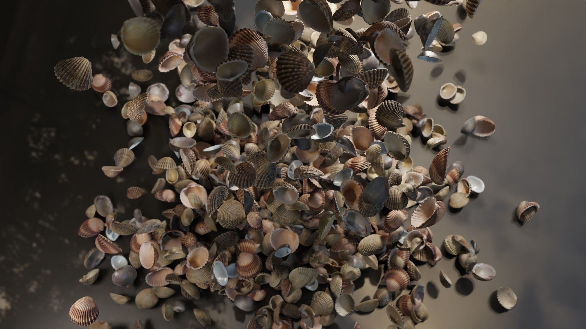 Sea shells collection Vol 2 Low-poly 3D model_14