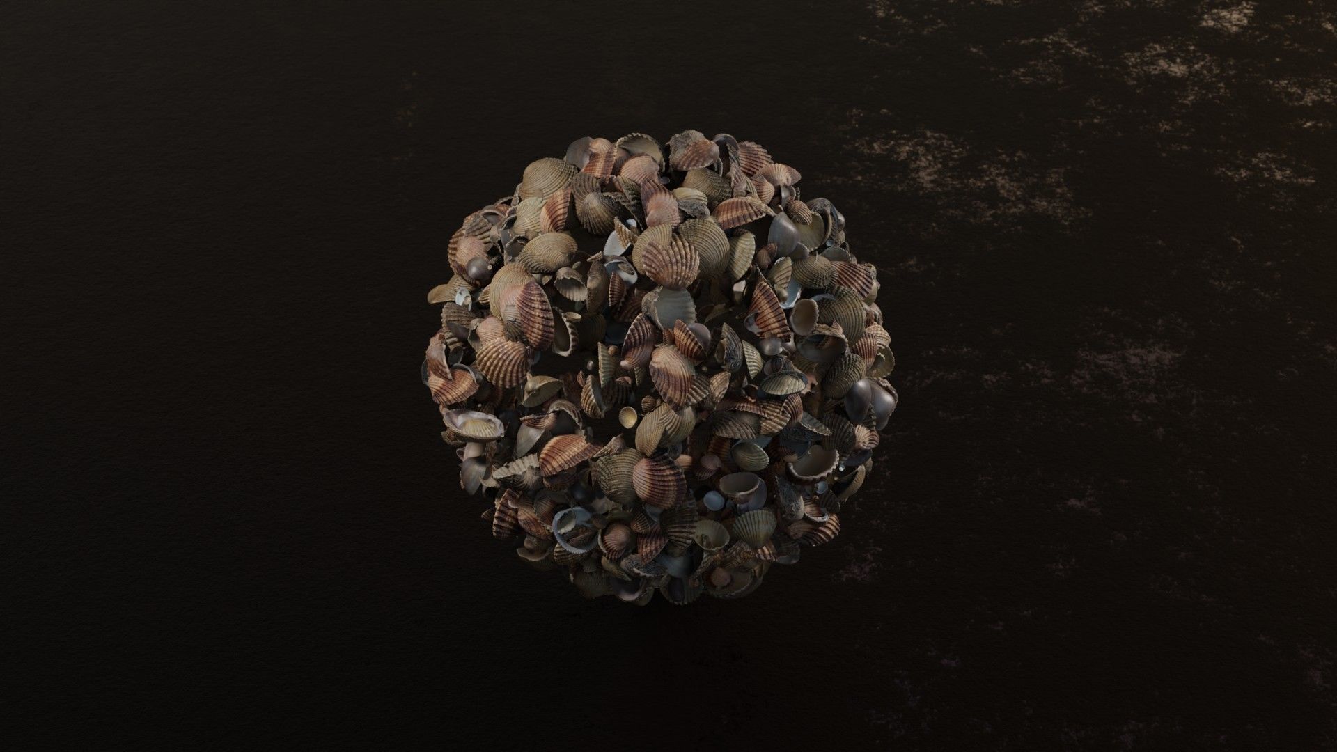 Sea shells collection Vol 2 Low-poly 3D model_13